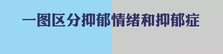 港澳台宝典大全